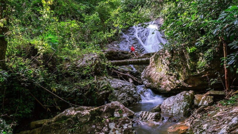 Phnom Penh: 4-Day Trekking&Camping Adventure at Phnom Tompor - Key Points