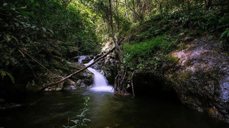 Phnom Penh: 4-Day Trekking&Camping Adventure at Phnom Tompor - Authentic Experiences and Traveler Insights