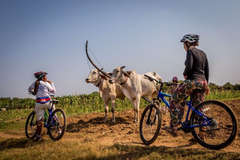Phnom Penh: Mekong Islands & Silk Islands Guided Bike Tour - Cultural Experiences