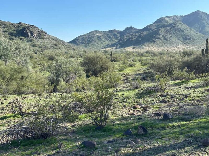 Phoenix: Guided Mountain Bike Adventure in Sonoran Desert - Discovering the Sonoran Desert on Two Wheels