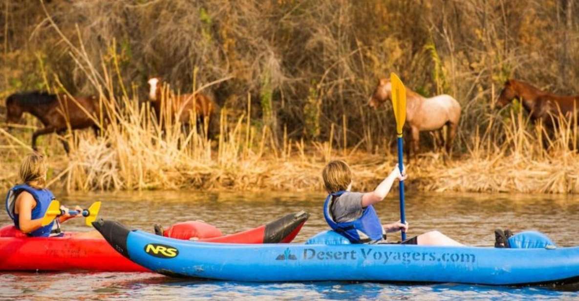 Phoenix & Scottsdale: Lower Salt River Kayaking Tour - Activities and Highlights