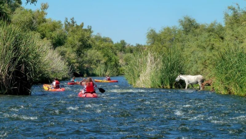 Phoenix: Self-Guided Kayaking Trip to Foxtail - What the Tour Includes and What It Doesn’t