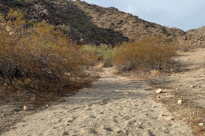 Phoenix South Mountain Hiking Tour Experience - Beginning at Pima Canyon: A Fresh Morning Start