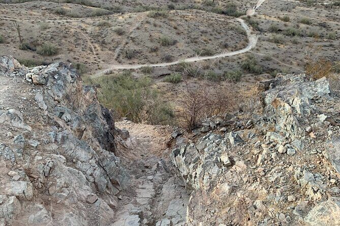 Phoenix South Mountain Hiking Tour Experience - Wildlife and Scenic Stops