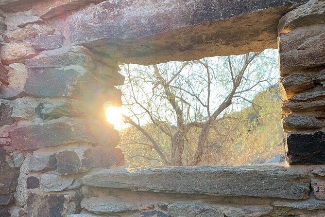 Phoenix South Mountain Hiking Tour Experience - Who Will Love This Tour?