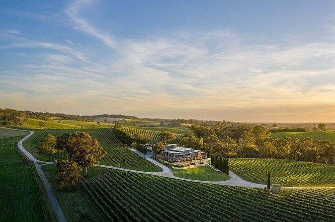 Phoenix Vortex to Vineyard Shared Tour - Touring Sedona’s Town and Vortex Site