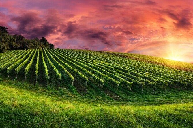 Phoenix Vortex to Vineyard Shared Tour - Wineries and Vineyard Experiences