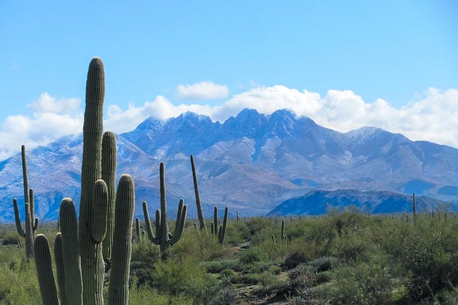 Phoenix Wilderness Hiking Tours Review - Tour Overview