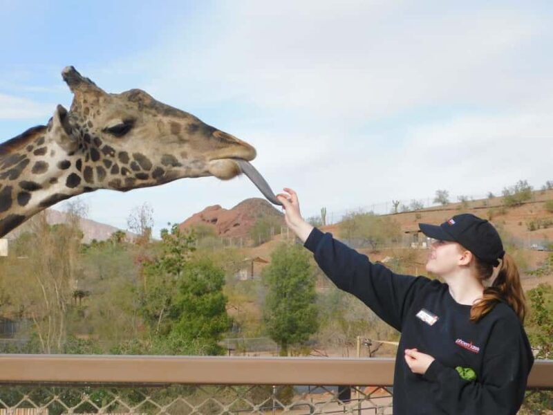 Phoenix Zoo Admission Ticket - What is the Phoenix Zoo Like?