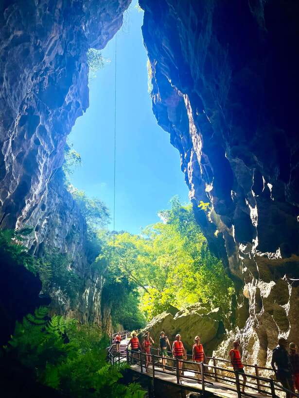 Phong Nha National Park Tour - Paradise Cave & Dark Cave - Activities at the Wildlife Rescue Center