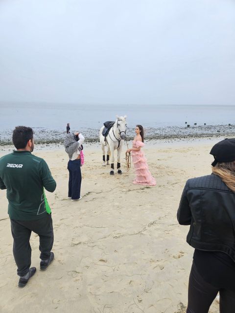 Photo Session With Horses on the Beach or in the Countryside - Photographer or Filmmaker Provided