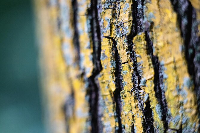 Photo Tour of Macro-Photography - Lake Garda - Schedule and Availability