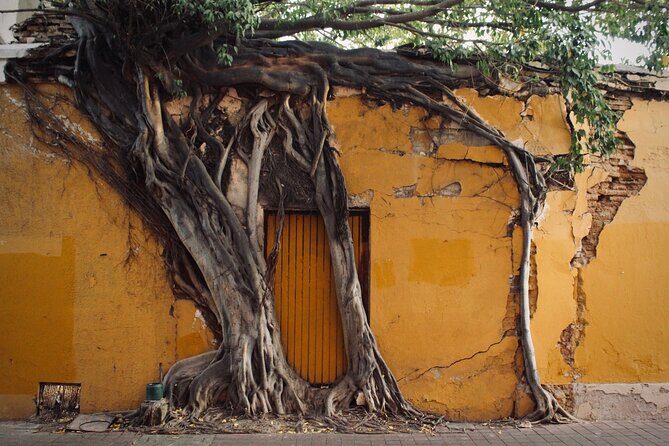 Photo Walking Tour Historic District Mazatlán - What the Tour Offers: An In-Depth Look