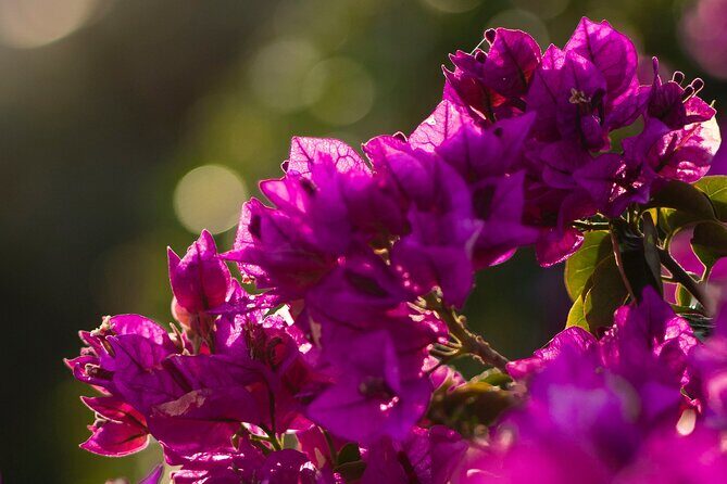 Photo Walking Tour in Sitges - Final Thoughts