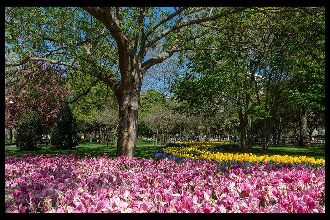 Photograph Istanbul - Frequently Asked Questions