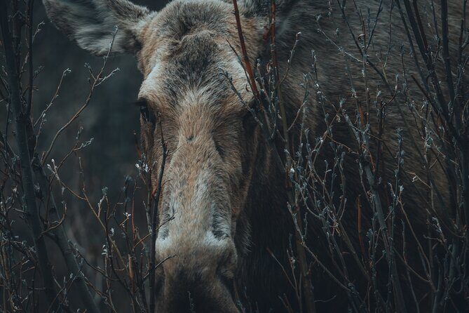 Photography Adventure to Capture Stunning Landscapes - Frequently Asked Questions