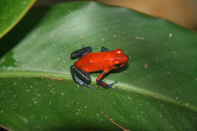 Photography Tour at Natura Eco Park - Review Highlights