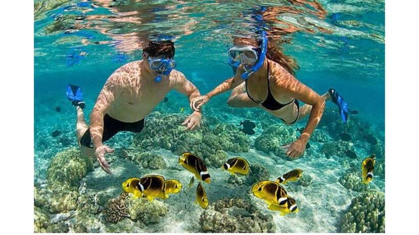 Phu Quoc: Explore 4 Islands on a Boat Tour + Free Videos! - Recommendations & Restrictions
