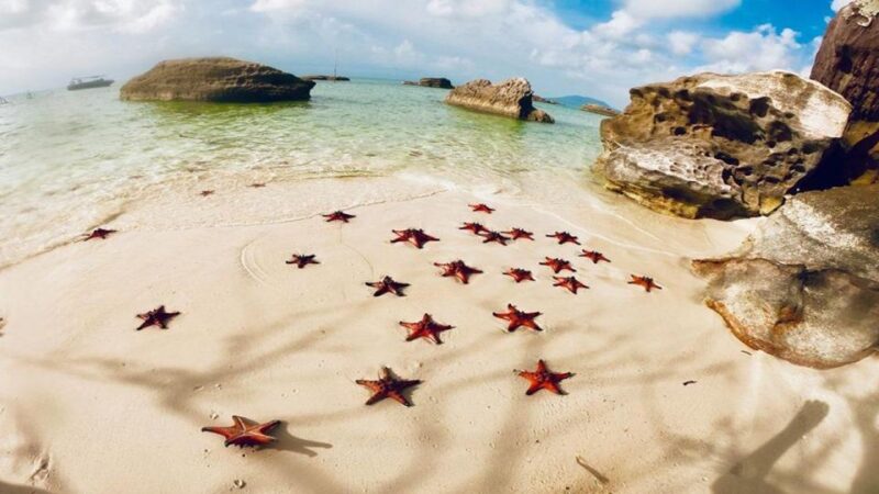 Phu Quoc: Kayaking With Starfish Beach and Bee Farm Tour - Exploring the Local Bee Farm
