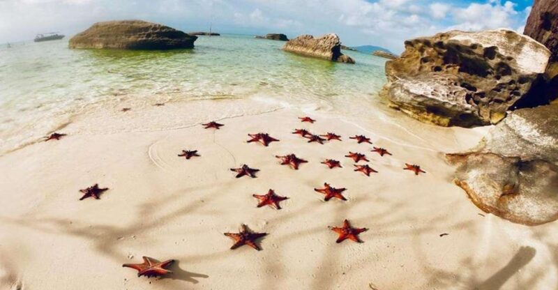 Phu Quoc: Kayaking With Starfish Beach and Bee Farm Tour - Kayaking on the Cua Can River