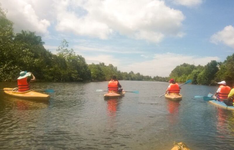 Phu Quoc: Kayaking With Starfish Beach and Bee Farm Tour - Trekking Through the National Park