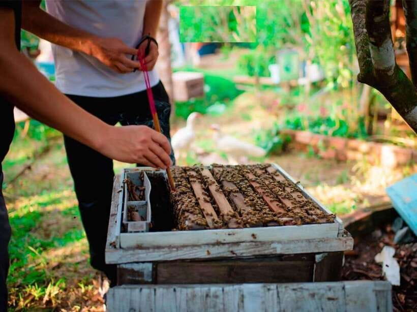 Phu Quoc North:Basket Boat,Starfish Beach & Hidden Treasures - Relaxing at Starfish Beach