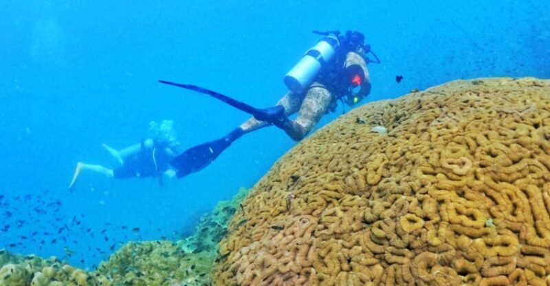 Phu Quoc: Scuba Diving Experience for All Levels - Dive Itinerary