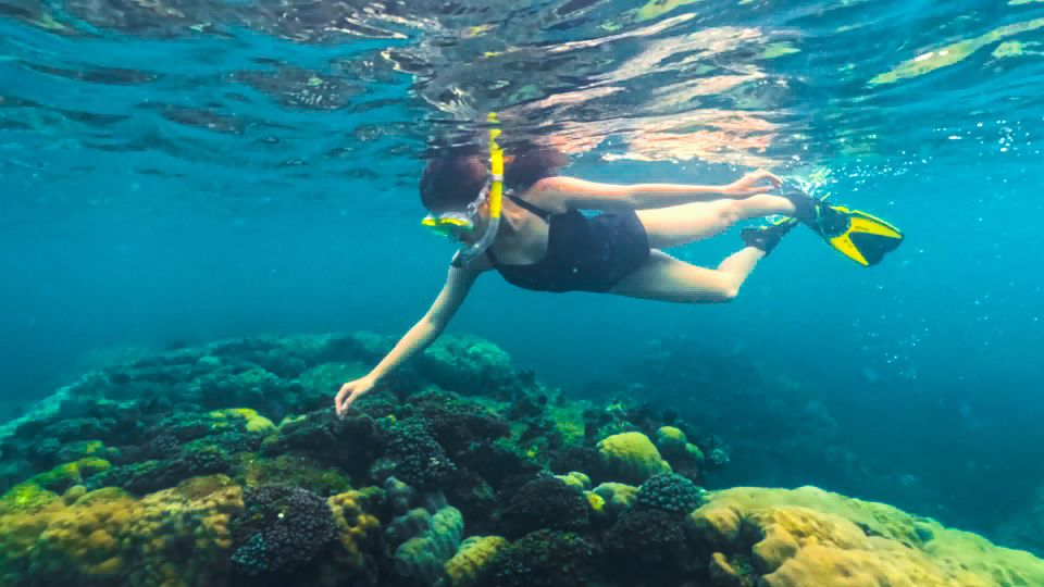 Phu Quoc: Snorkeling Discover Southern, Northern Coral Reefs - Booking and Cancellation Policy