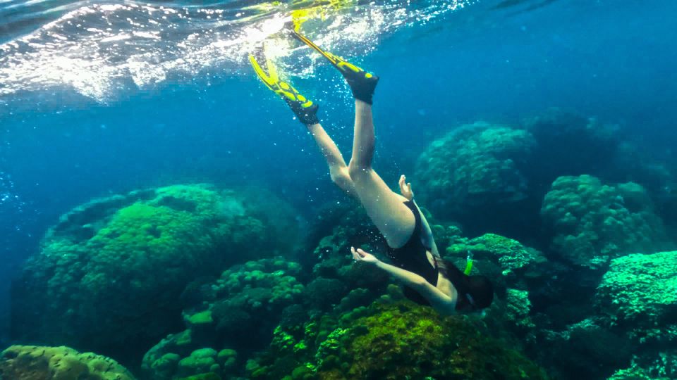 Phu Quoc: Snorkeling Discover Southern, Northern Coral Reefs - Additional Activities and Costs