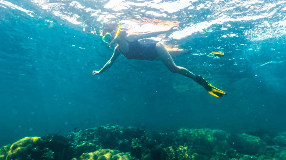 Phu Quoc: Snorkeling Discover Southern, Northern Coral Reefs - Frequently Asked Questions