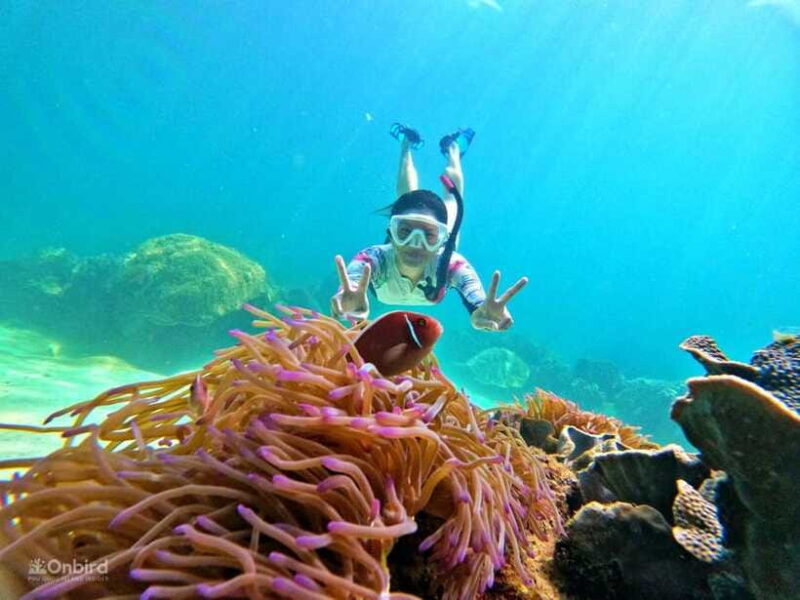 Phu Quoc: Speed Boat Tour 4 Islands - 2 Reefs Snorkeling - Safety First: Professional Guidance and Equipment