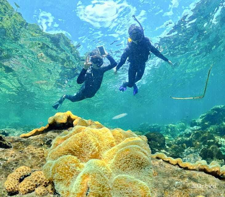 Phu Quoc Speedboat Pro Snorkeling: 4 Islands-2 Reefs & Meal - Customer Feedback and Recommendations