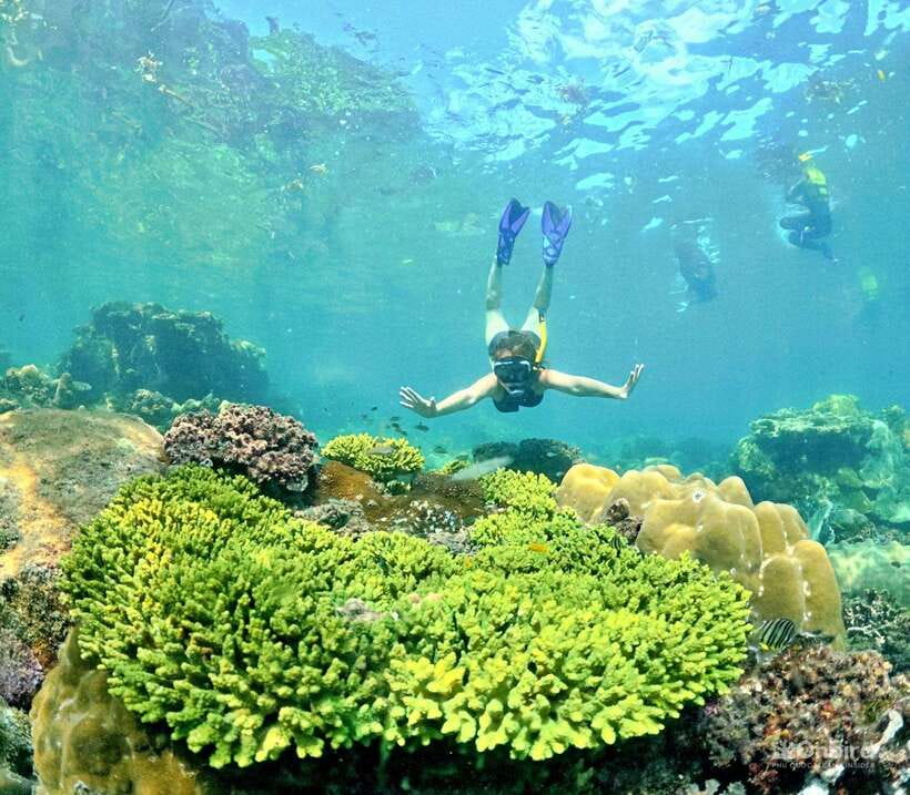 Phu Quoc Speedboat Pro Snorkeling: 4 Islands-2 Reefs & Meal - Snorkeling Tips for Beginners