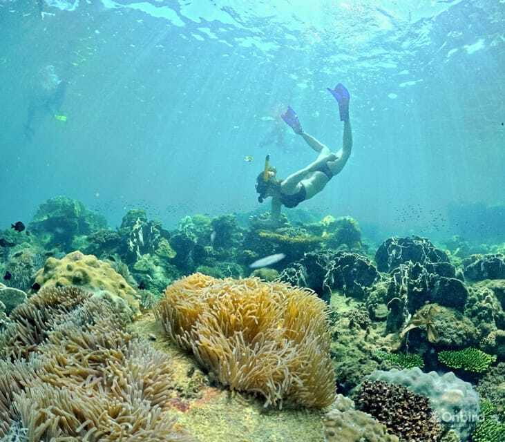 Phu Quoc Speedboat Pro Snorkeling: 4 Islands-2 Reefs & Meal - Additional Information and Booking Details