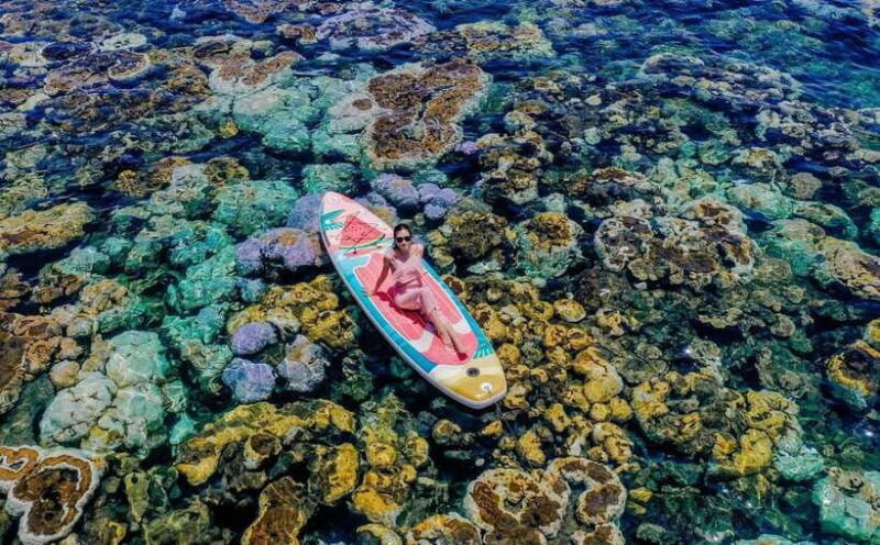 Phu Quy Island Tour: Kayaking, Seafood Catching With BBQ - Activities Included in the Tour
