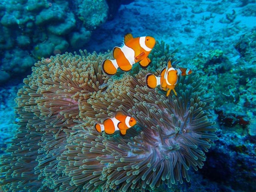 Phuket: 2 Days Itinerary Similan & James Bond Islands Tour - James Bond Island Visits