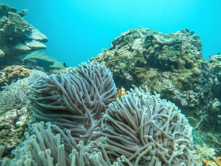 Phuket: 2 Days Itinerary Similan & James Bond Islands Tour - Important Information