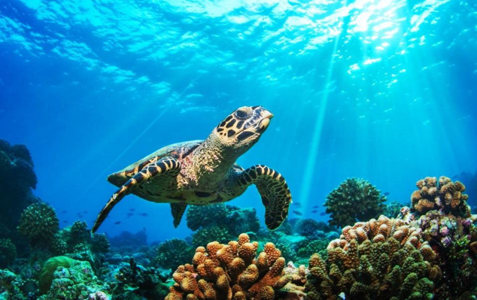 Phuket: 2 Days Itinerary Similan & James Bond Islands Tour - Frequently Asked Questions