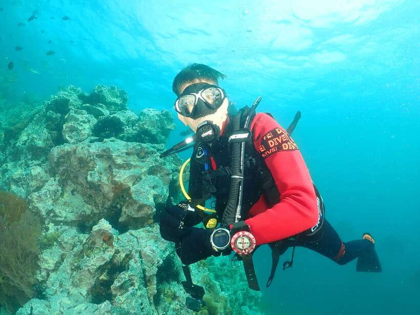 Phuket: 3 Dive Koh Phi Phi/Shark Point Scuba Diving Day Trip - Trip Overview