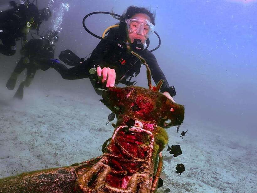 Phuket: 3 Dive Koh Phi Phi/Shark Point Scuba Diving Day Trip - Participant Requirements