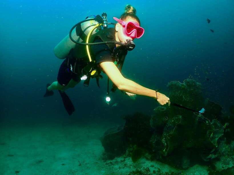 Phuket: 3 Dive Koh Phi Phi/Shark Point Scuba Diving Day Trip - Frequently Asked Questions