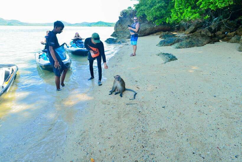Phuket: 5 or 8-Island Jet Ski Tour With Lunch and Transfer - Customer Ratings and Reviews