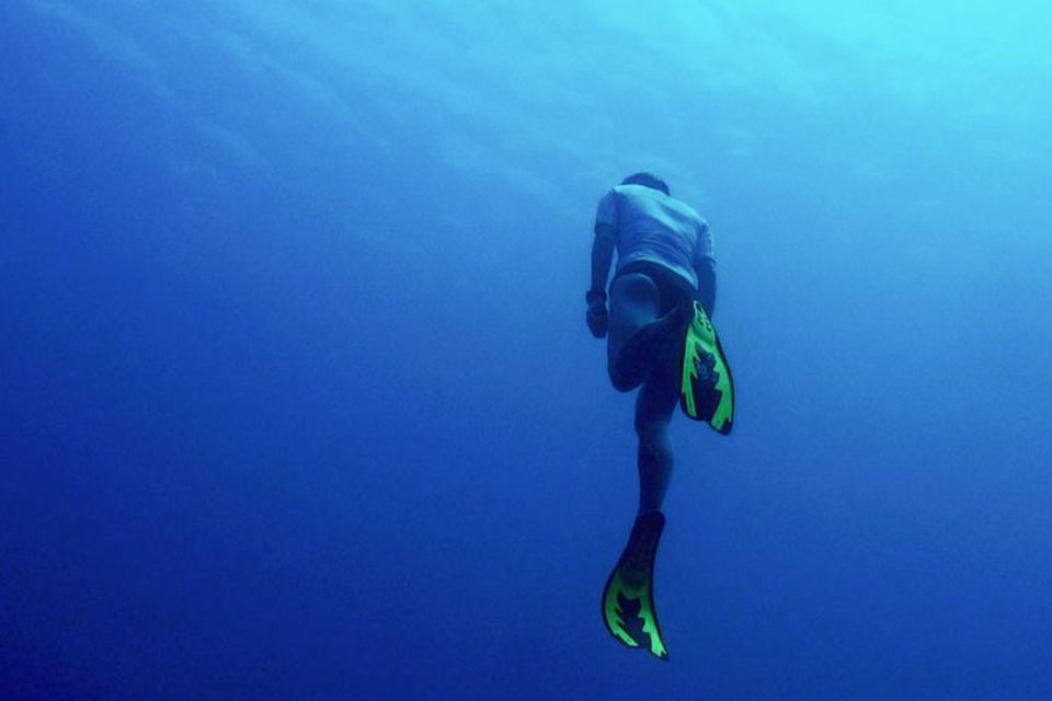 Phuket: Aida/Ssi/Molchanovs Freediving Level 1 - 3 Days - Key Points