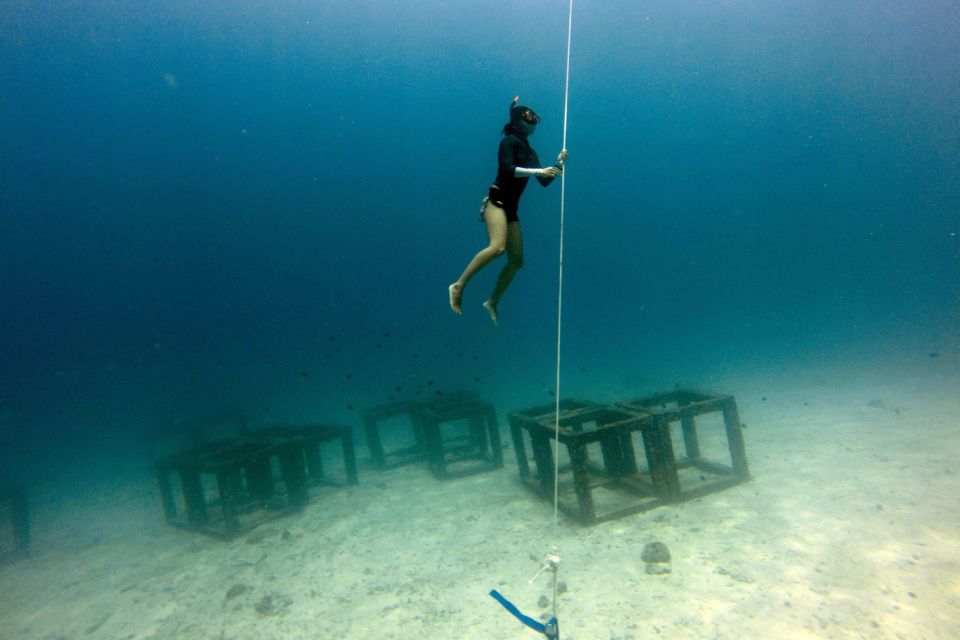 Phuket: Aida/Ssi/Molchanovs Freediving Level 1 - 3 Days - Exploring the Underwater Realm