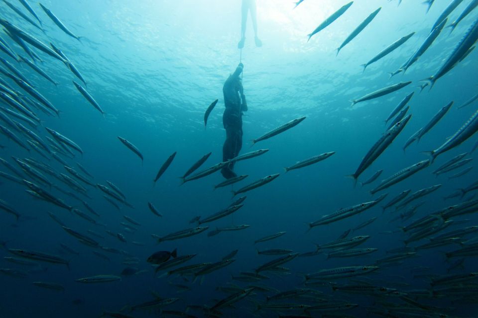 Phuket: Aida/Ssi/Molchanovs Freediving Level 1 - 3 Days - Participant Requirements and Preparation