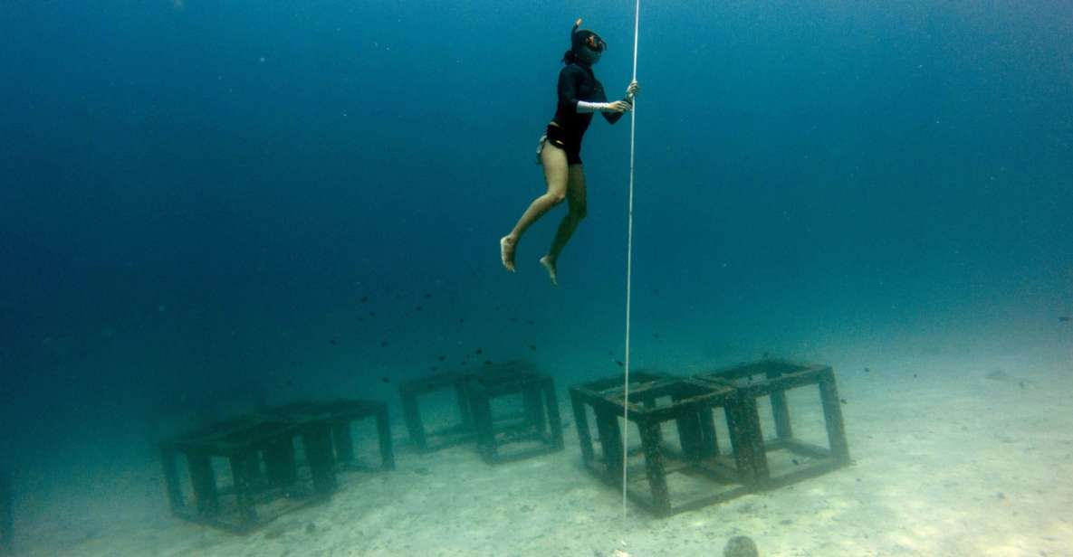 Phuket: Aida/Ssi/Molchanovs Freediving Level 1 - 3 Days - Frequently Asked Questions