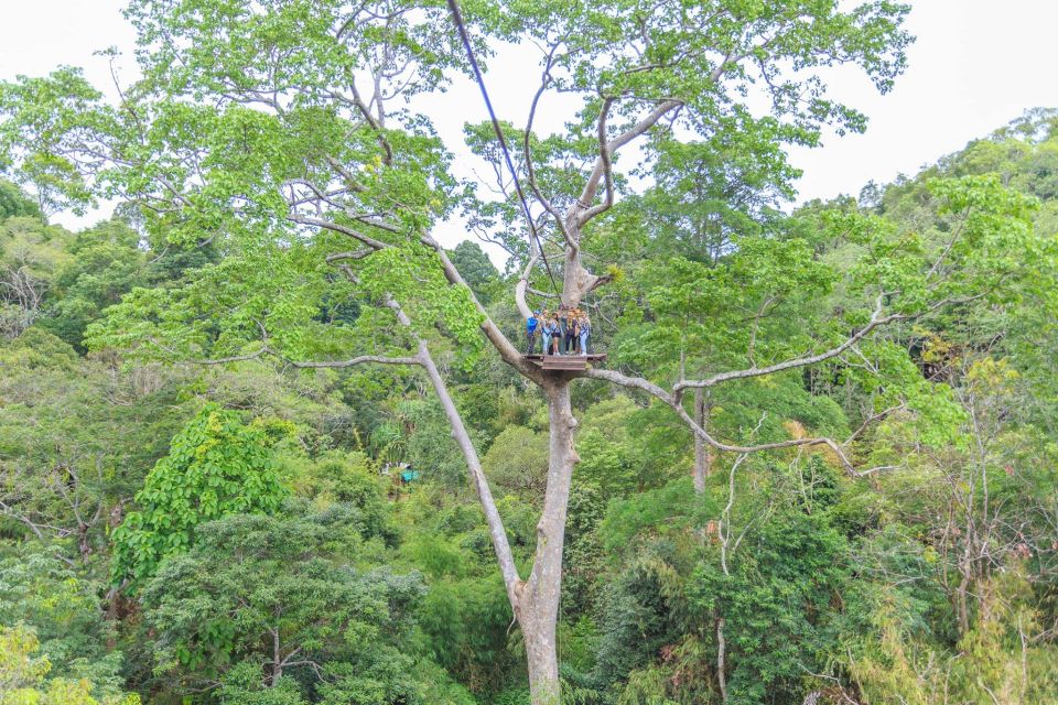 Phuket: ATV and Zipline Panoramic Adventure - Pricing and Booking Information