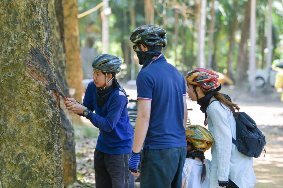 Phuket: ATV Mangrove Jungle & Hidden Beach Tour - Activity Highlights