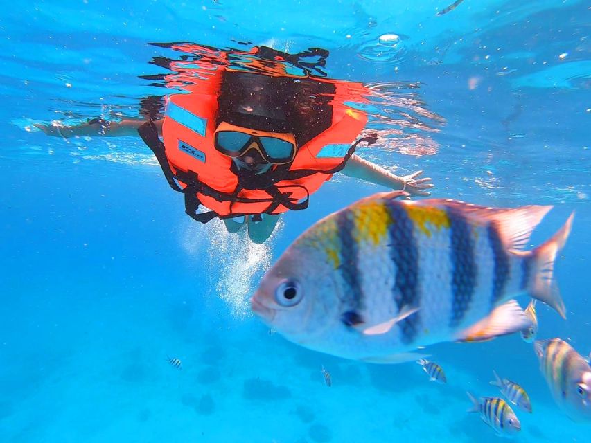 Phuket: Catamaran Cruise to Promthep Cave With Sunset Dinner - Inclusions