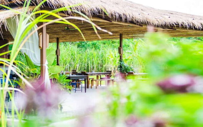 Phuket: Chalong Bay Rum & Big Buddha Half Day Private Tour - Rum Distillery Experience